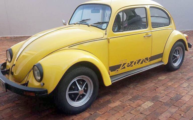 1976 Jeans Bug