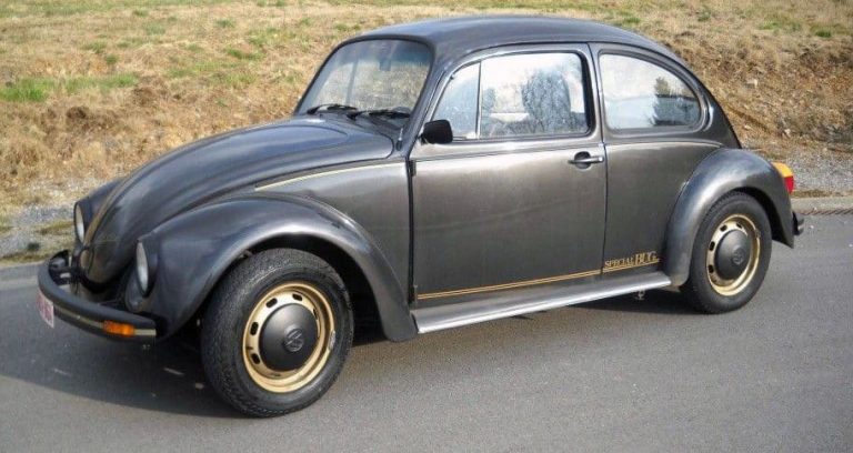 1983 Special Bug