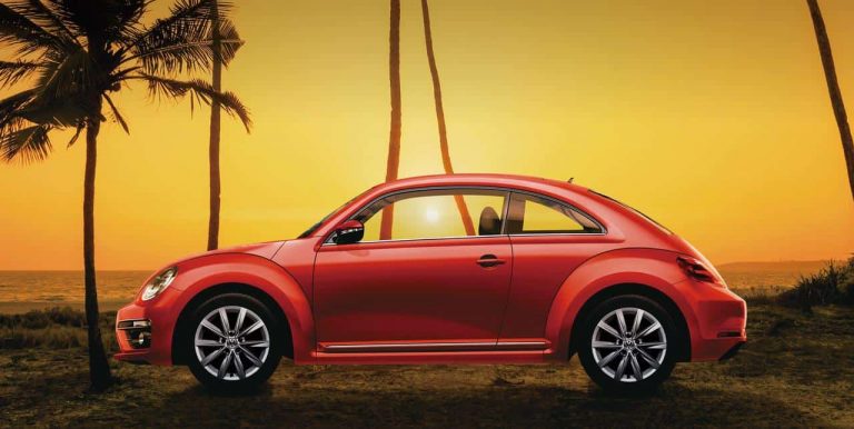2019 Beetle Meister