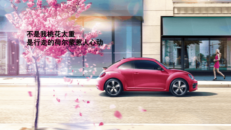 2017 Pink Edition (CN)