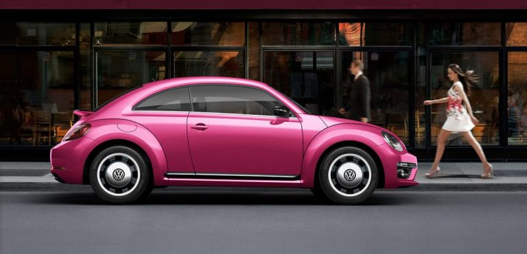 2017 #PinkBeetle (JP)