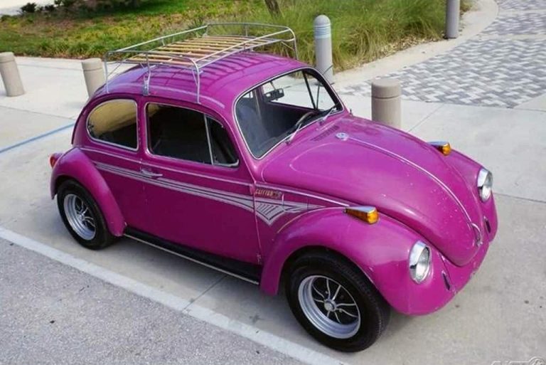 1970 Glitter Bug