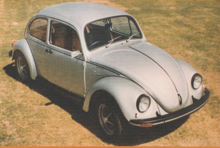 1976 Silver Bug