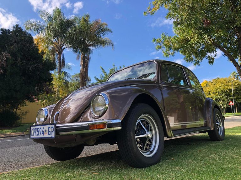 1975 Lux Bug