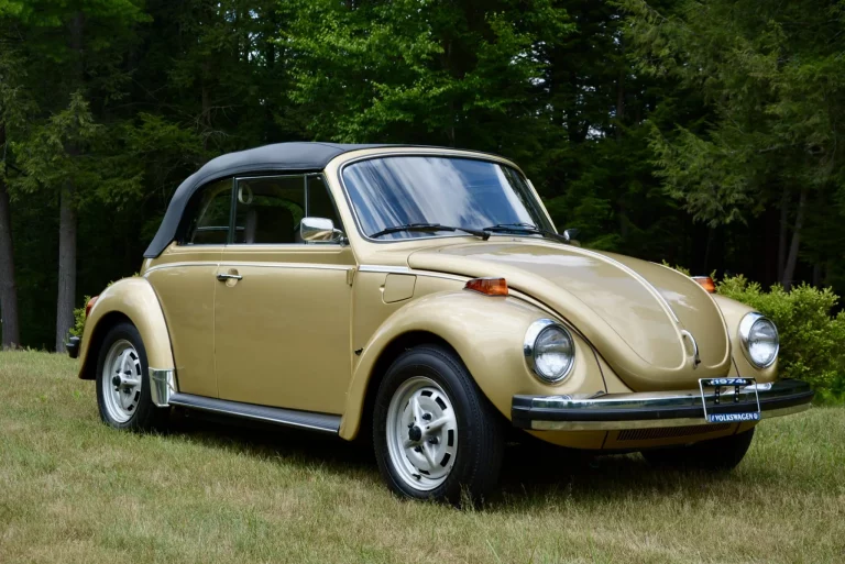 1974 Sun Bug