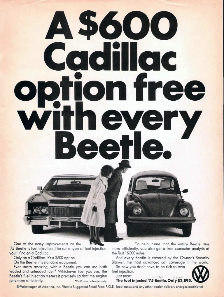 1975 110 Basic Beetle