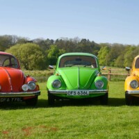 Three GT Beetles as Stanford Hall, Lutterworth, UK, May 2018. Photographer Gavin Dickson.