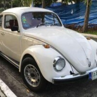 1980 model