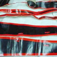 Sports Bug stripe set