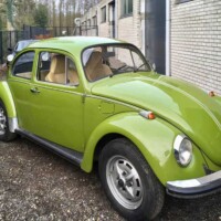 A Lofoten Green from Belgium
