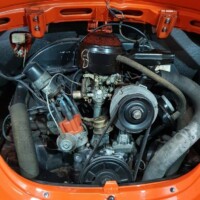 Urlaubsku00e4fer Phoenixrot u00a9 Marco