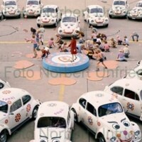 1972 VW rally (Sternfahrt)