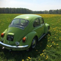 Popkever hippie-groen